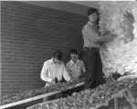 Pat, Mike & Steve